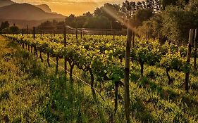 Glamping At The Well In Franschhoek